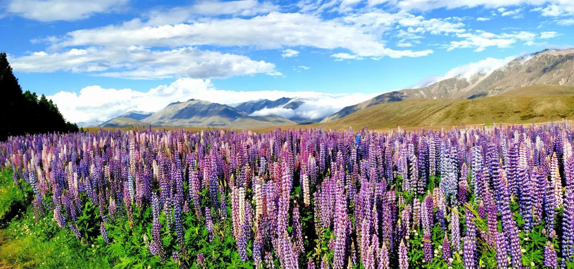 Apartmán 37 Galaxy A Lake Tekapo Exteriér fotografie